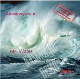 Альбом «Mr. Water» 2008 год